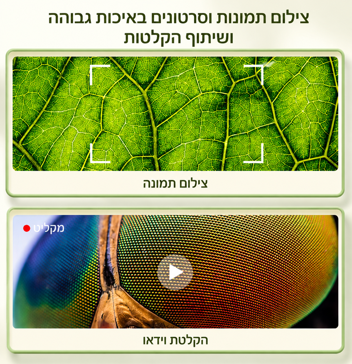 מיקרוסקופ דיגיטלי לילדים 🔬 הגדלה 1000X · מסך 2 אינץ' · 8 נורות LED